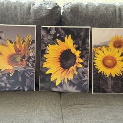 Sunflower Picture Frames