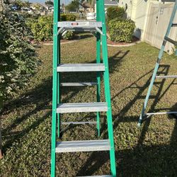6 foot Warner step ladder