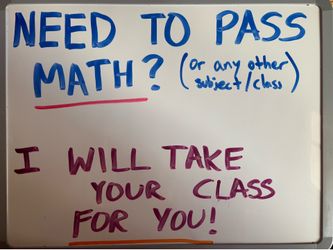 SUMMER SCHOOL? ONLINE CLASS?