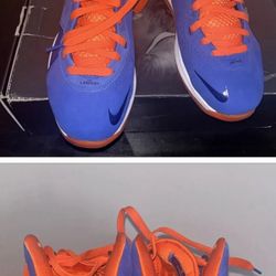 Nike Lebron 8 HWC