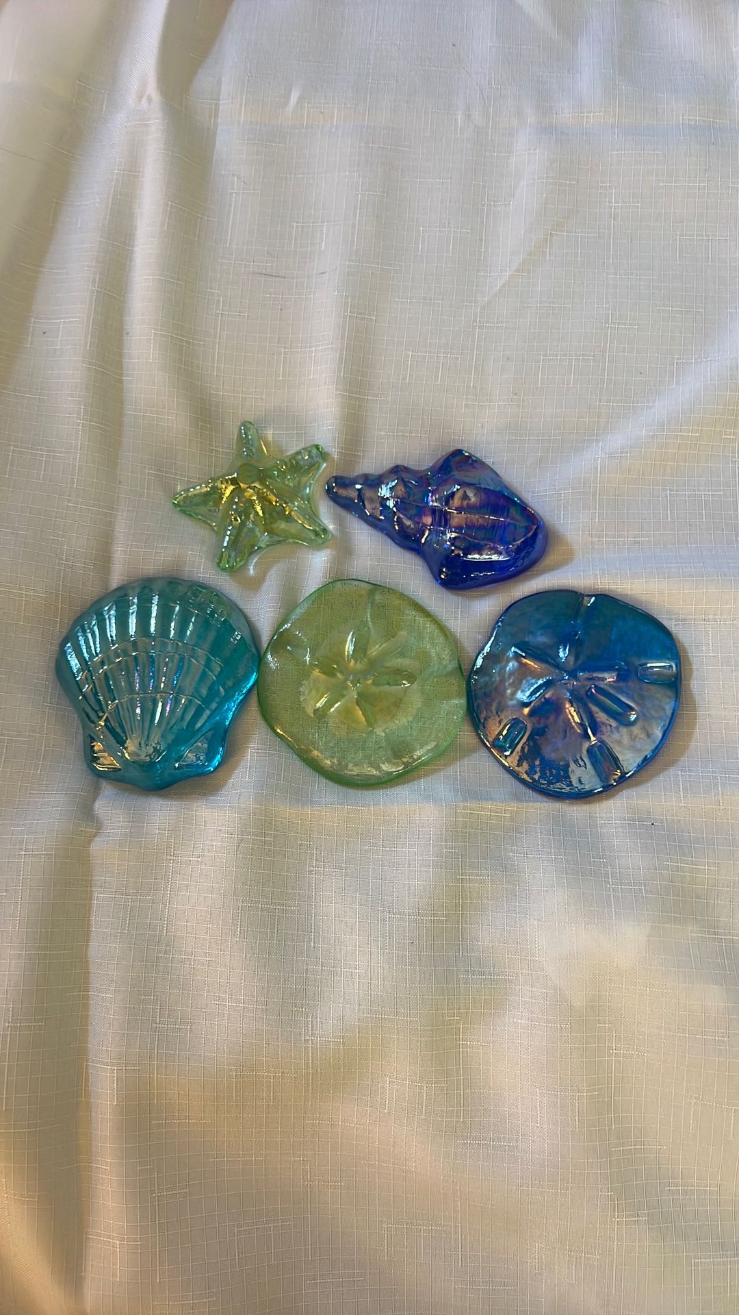 Glass Shells Set Of 5