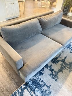 West Elm sofas ( 2)