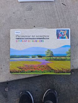 Paint by number set