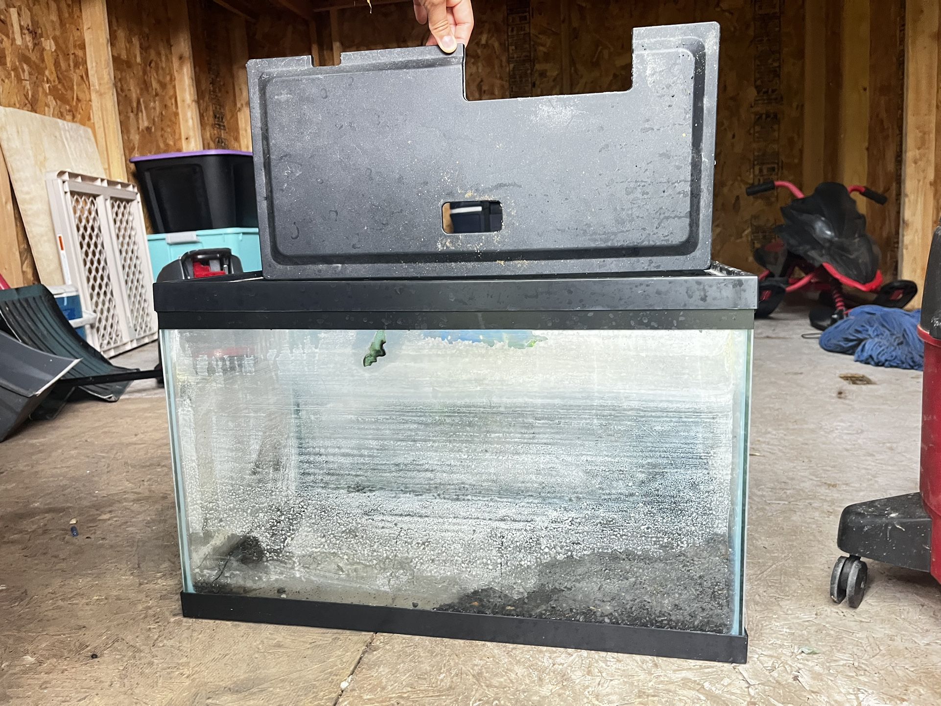 fish tank