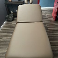 Electric Medical Spa Treatment Table (Facial Chair/Bed)
