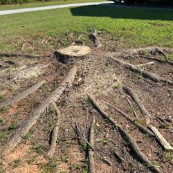 Stump Grinding 