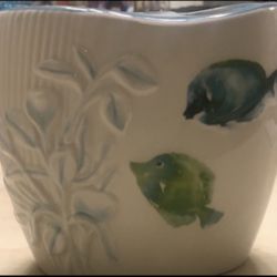 New Toothbrush Display 