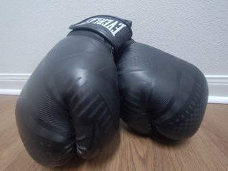 Everlast  Boxing Gloves 