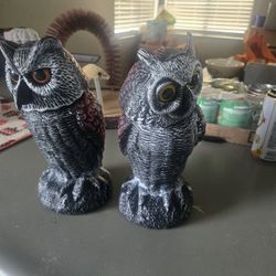 Owl Pigeon Deterrent