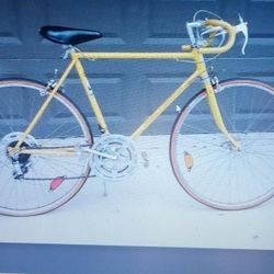 Vintage Schwinn Continental Bike