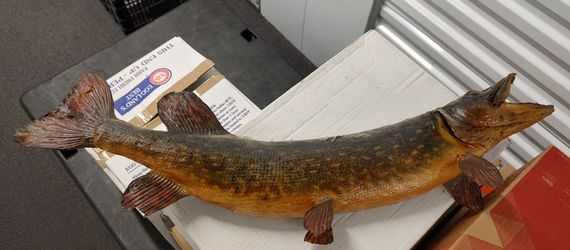 Vintage Fish Decor 24"