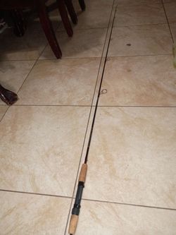 Fishing rod