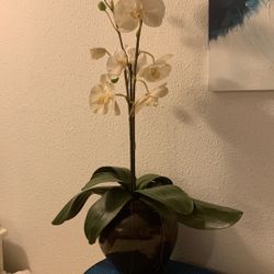Faux Orchid Plant