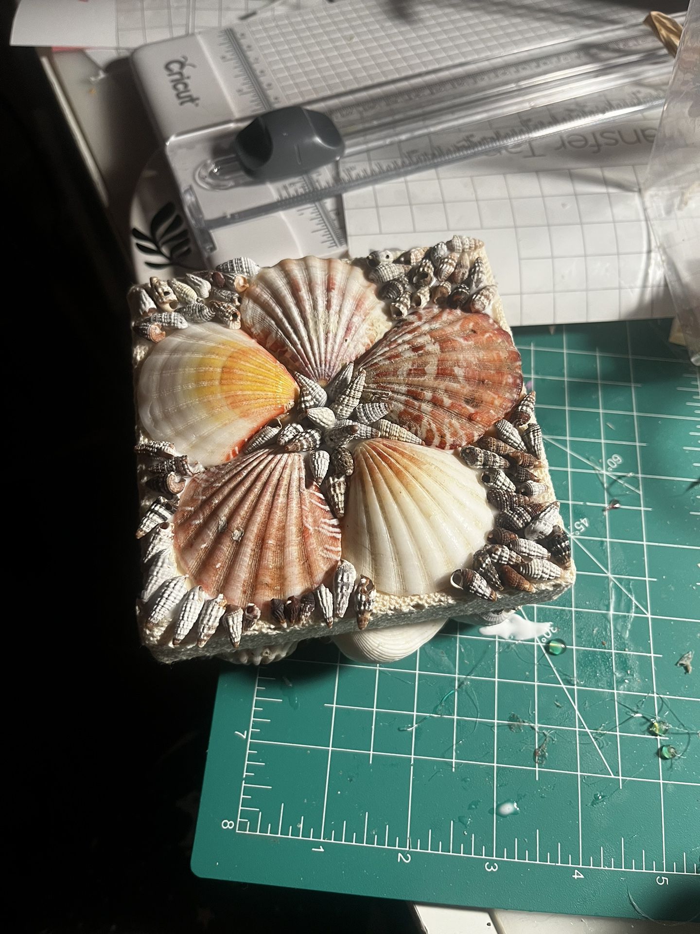 Seashell Box 