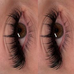Lashes