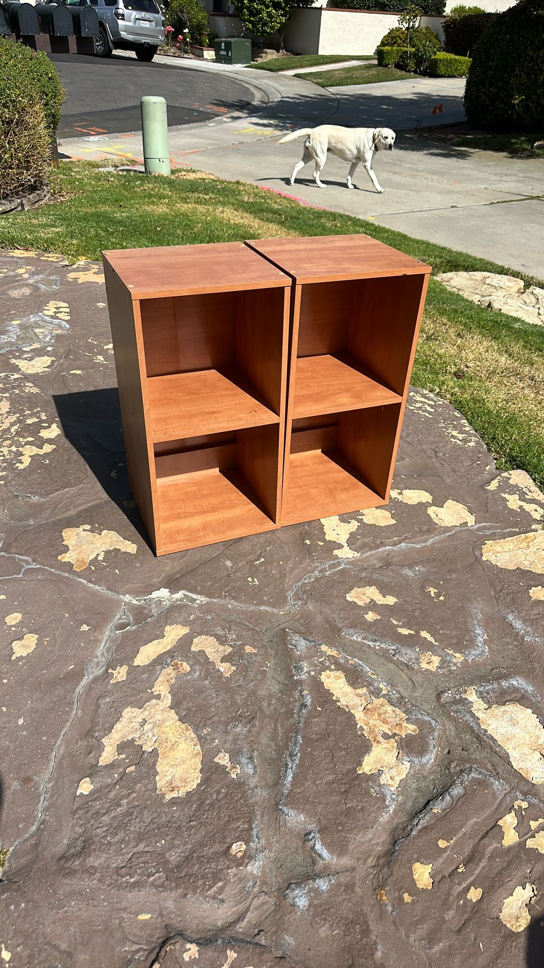 2 Small Brown Book Shelves