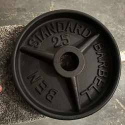 Single 25 Lb Pound Weight Plate Gym
