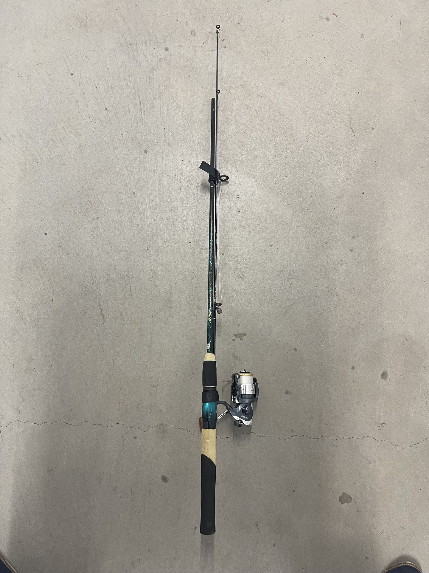 Fishing rod and reel