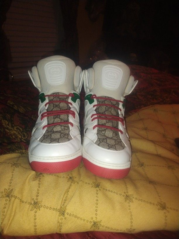 Gucci tennis