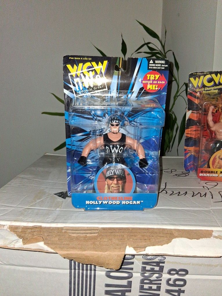 Hulk Hogan WCW Nwo