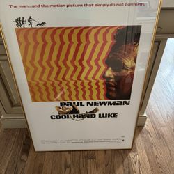 Paul Newman Cool Hand Luke Picture 