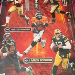 NFL Fathead Teammate