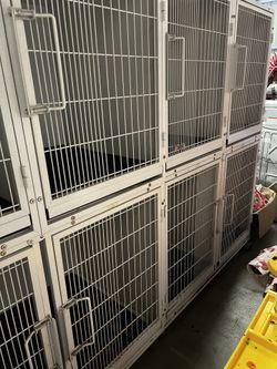 Veterinarian Dog Kennels On Wheels