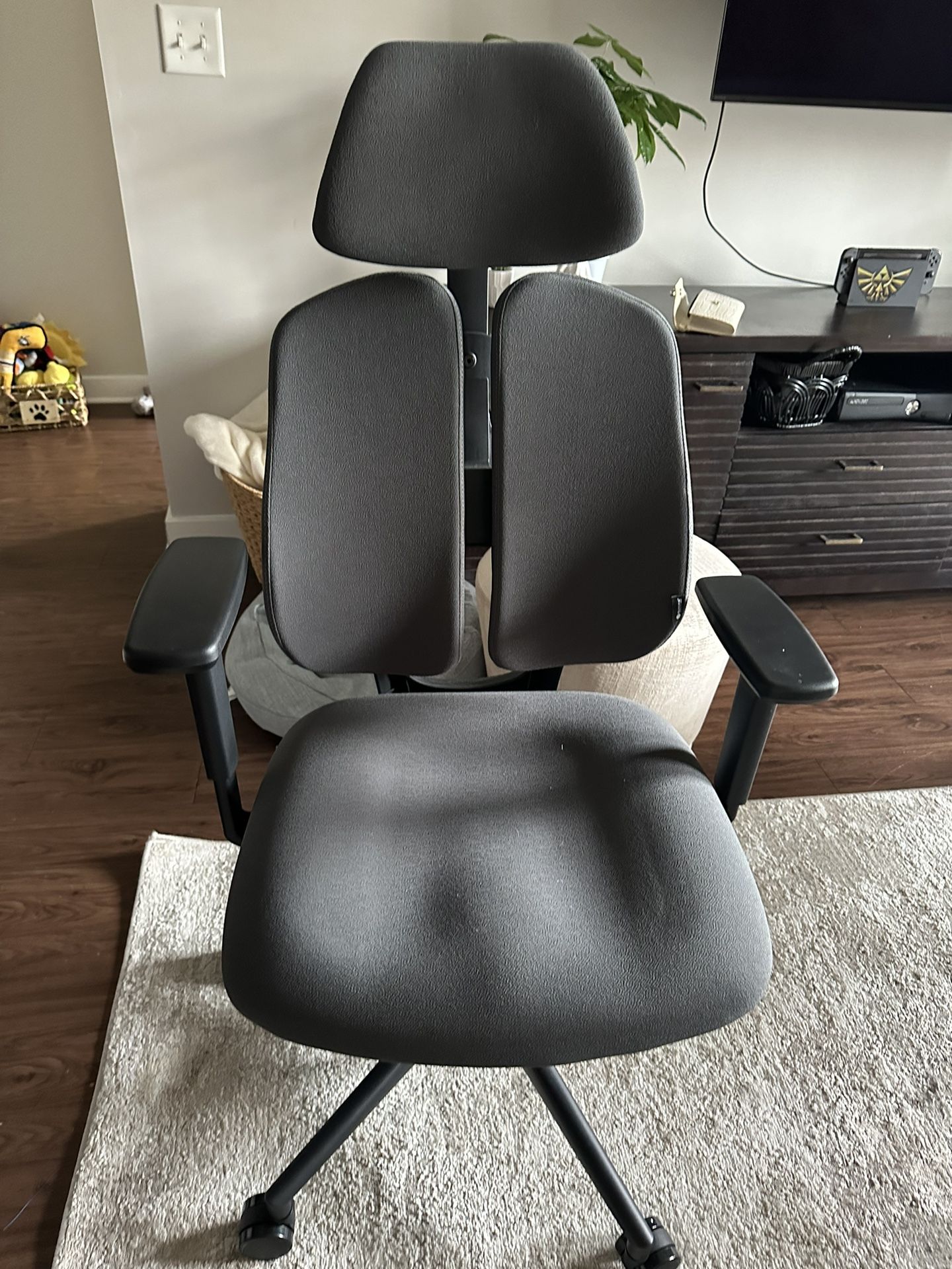 Executive Ergonomic office chair  2 Months Old 