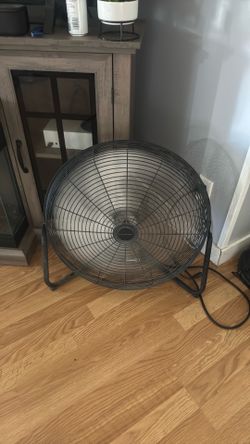 Fan