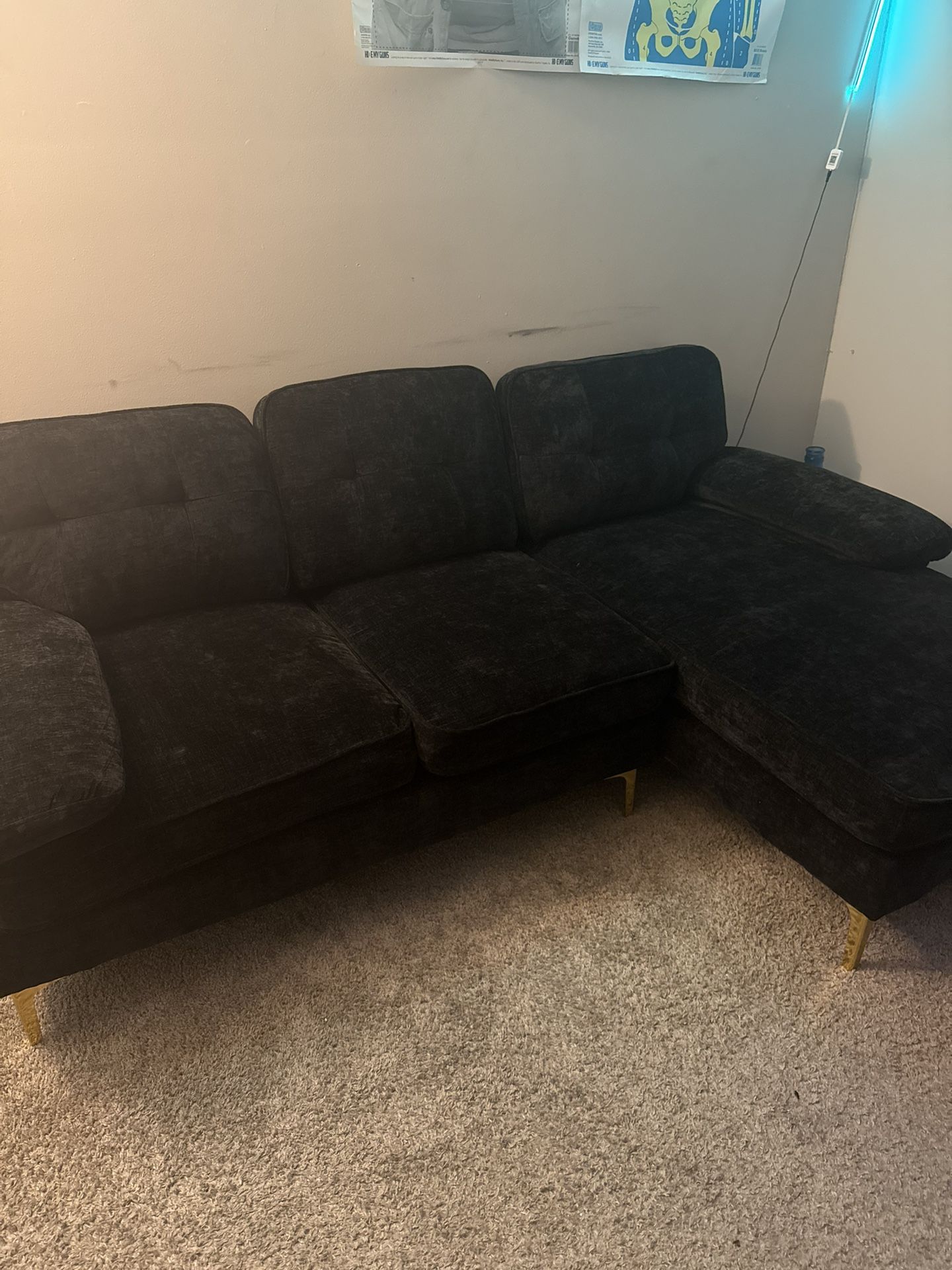 Wayfair sectional Couch
