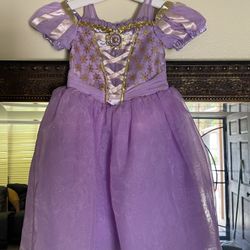 Toddler / Little Girls Rapunzel Halloween Costume Kids size 4