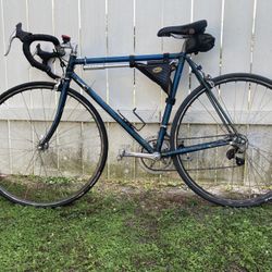 Raleigh 10 Speed Vintage