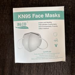 N95 Face Masks