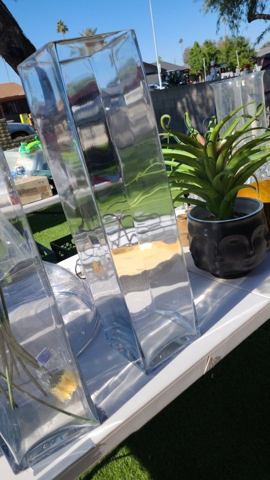 2 Clear Long Flower Vases