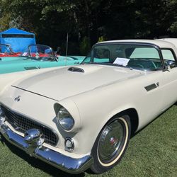 1955 Ford Thunderbird