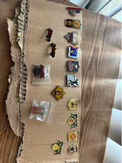 ENTIRE PIN COLLECTION