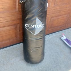 Punching Bag 80lb