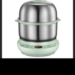 Electric Small Food Steamer 2 Tier, Egg Cooker with Steaming & Frying, Stainless Steel Vegetable Ste