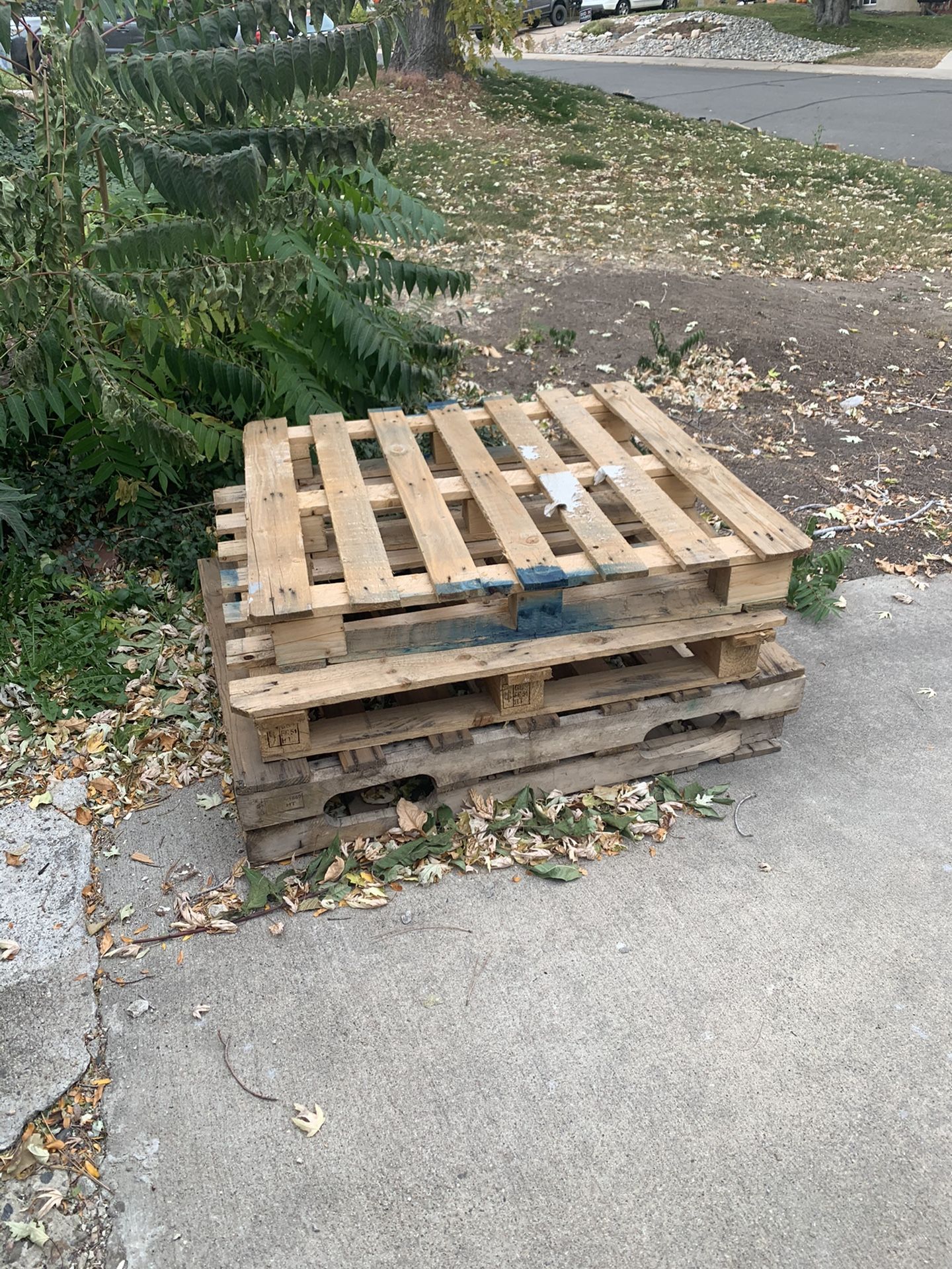 Free pallets