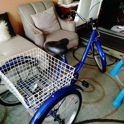 Vevor 3 Wheel Tricycle Blue With Tray $175 