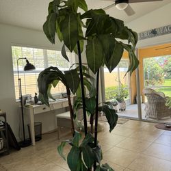 Artificial Plant With Ceramic Base