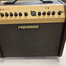 Fishman Loud Box Mini 