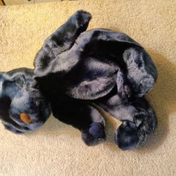 Velvet Teddy Bear