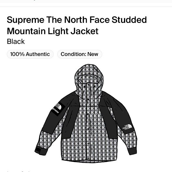 Supreme The North Face Light Jacket Size Large