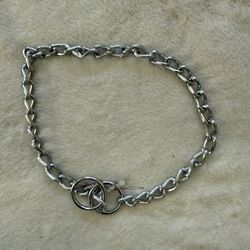 Medium Dog Collar