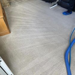 CARPET STEAM SHAMPOO 