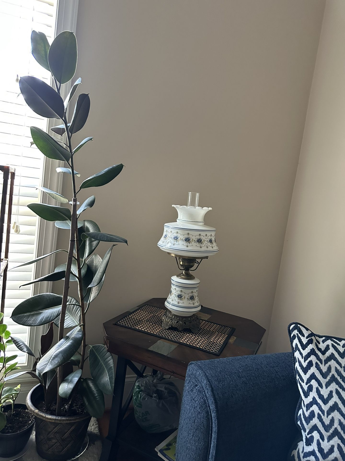 Beautiful plant