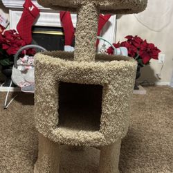 Cat Tree Condo