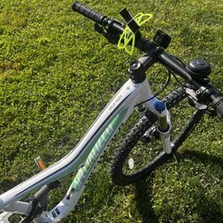 Mountain bike