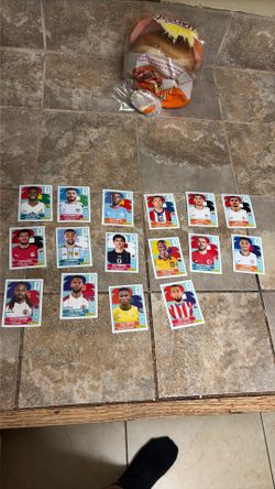 panini world cup stickers 2026